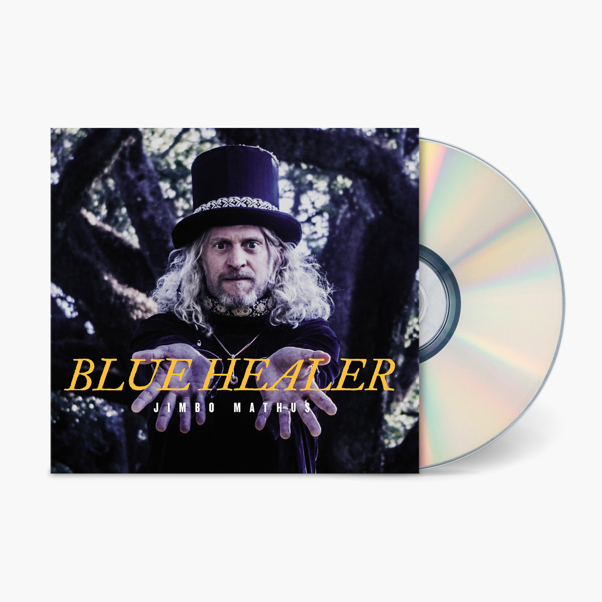 Jimbo Mathus - Blue Healer (Compact Disc) | Fat Possum Records