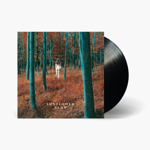 I Hear Voices / The Stalker 7"