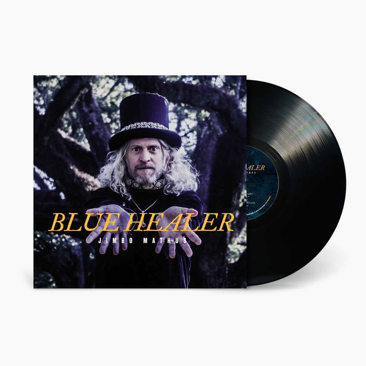 Jimbo Mathus - Blue Healer | Official Store – Fat Possum Records