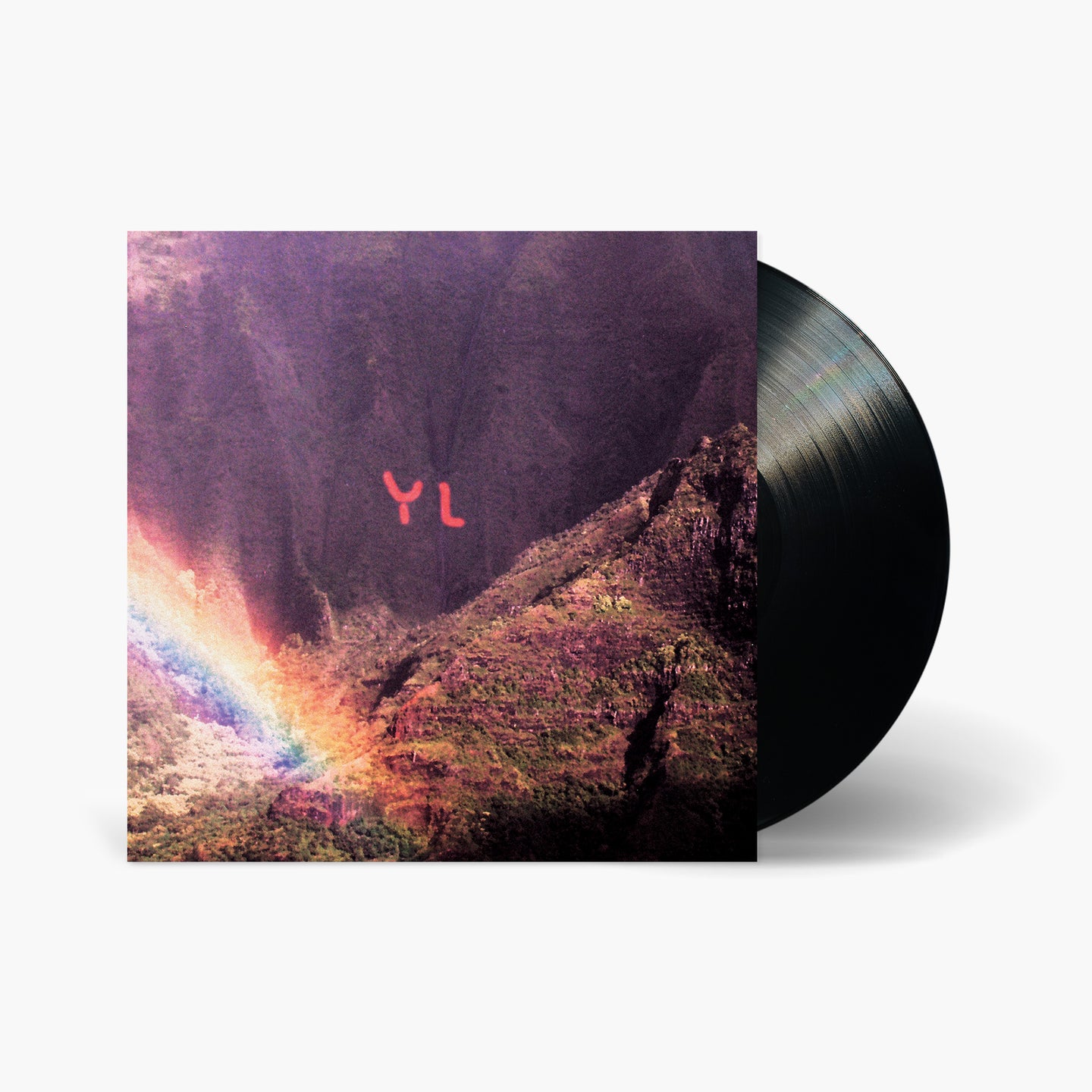 The Year of Hibernation