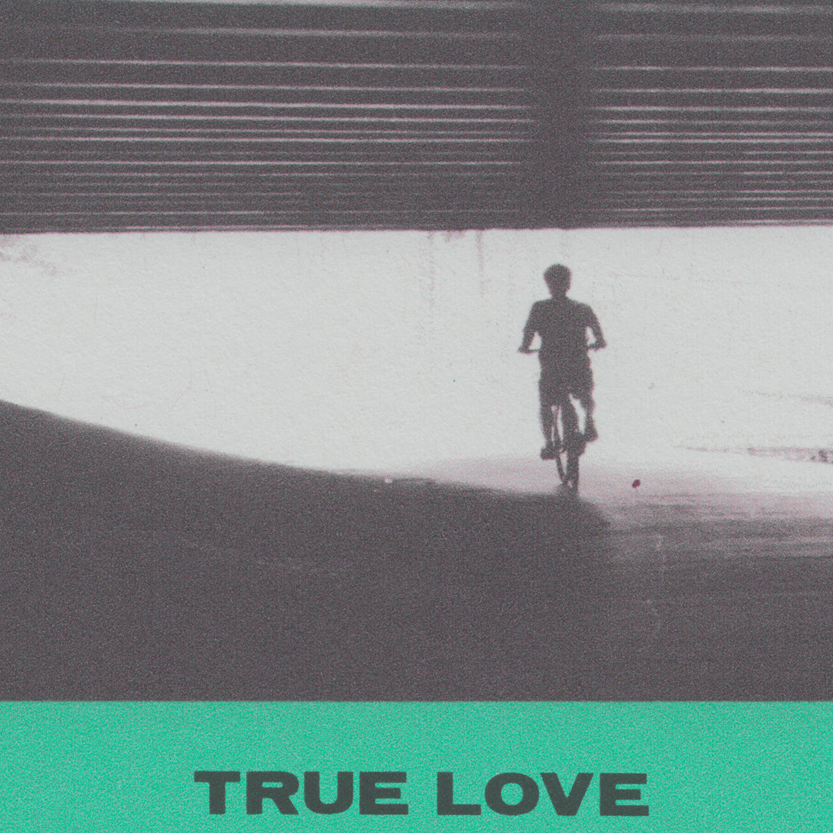Hovvdy - True Love (Vinyl) | Fat Possum Records