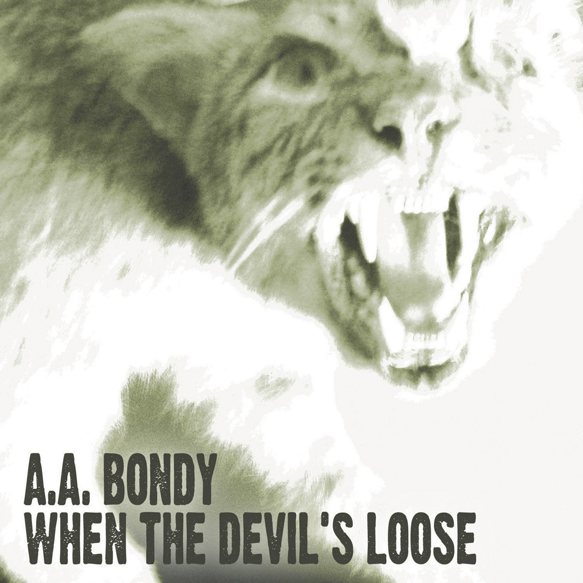 A.A. Bondy - When the Devil's Loose | Official Store – Fat