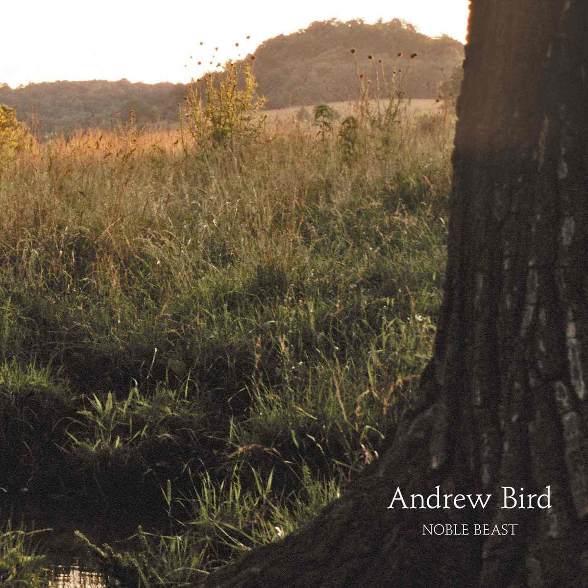 米2LP Andrew Bird Noble Beast FP11241 FAT POSSUM 未開封 /00400 Andrew Bird - Noble Beast | Official Store – Fat Possum Records