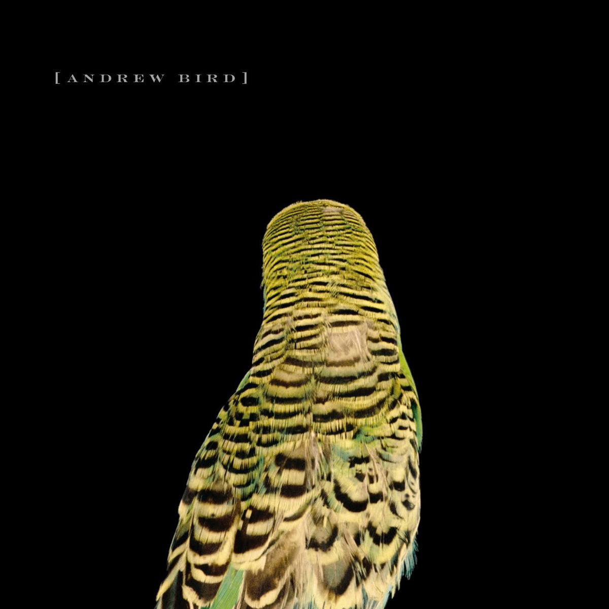 Andrew Bird - Armchair Apocrypha (Vinyl) | Fat Possum Records