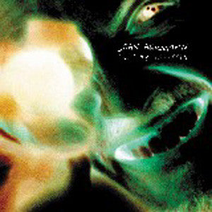 Jojo Hermann - Smiling Assassin (Compact Disc) | Fat Possum Records