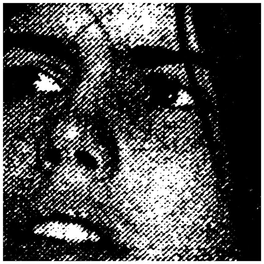 chaos summer of hate オリジナル盤　very rare Crocodiles - Summer of Hate (15th Anniv. Bloodshot Vinyl) | Fat