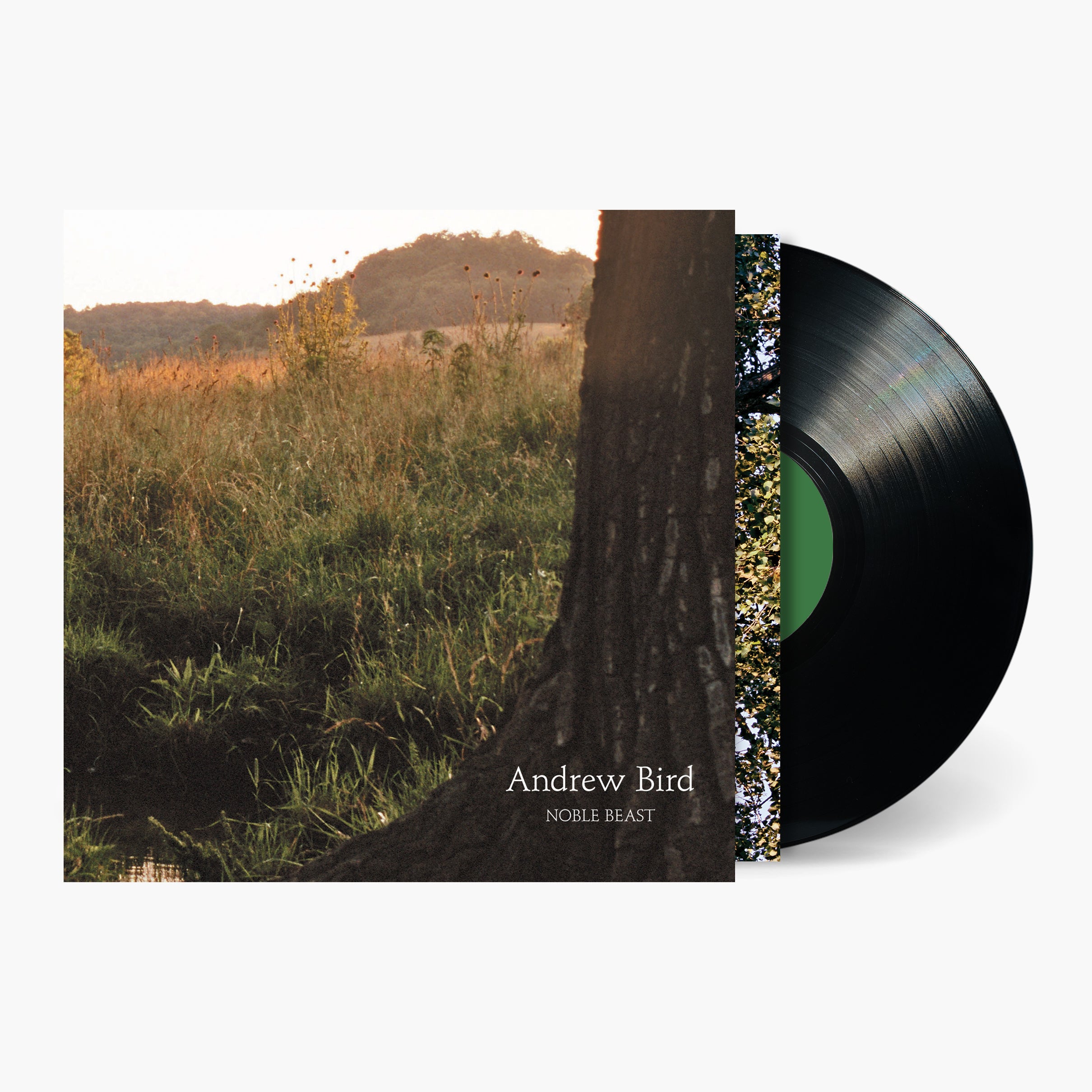 米2LP Andrew Bird Noble Beast FP11241 FAT POSSUM 未開封 /00400 Andrew Bird - Noble Beast | Official Store – Fat Possum Records