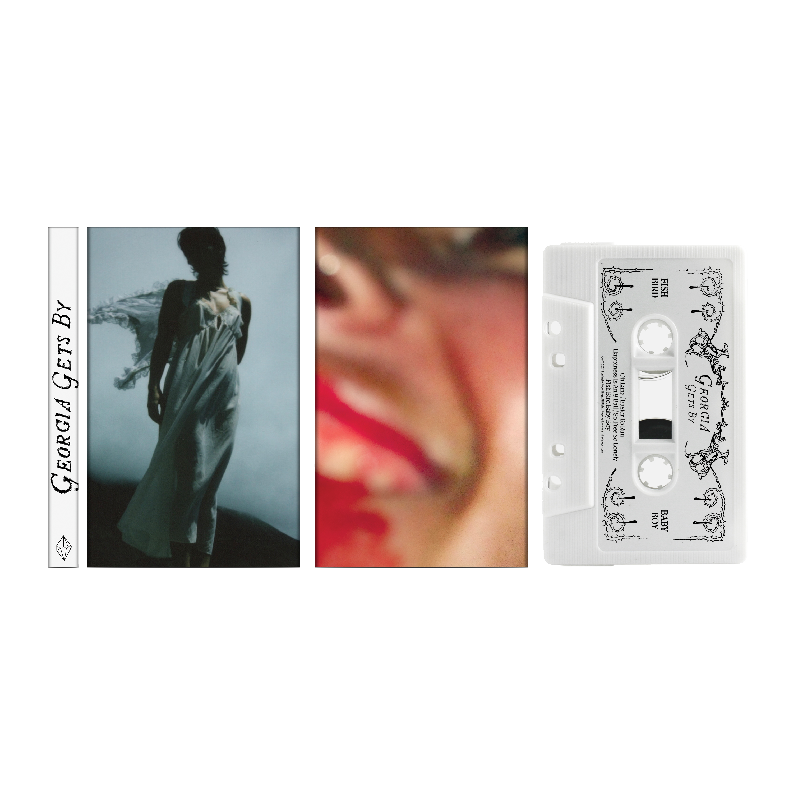 Georgia Gets By - Fish Bird Baby Boy / Split Lip Cassette