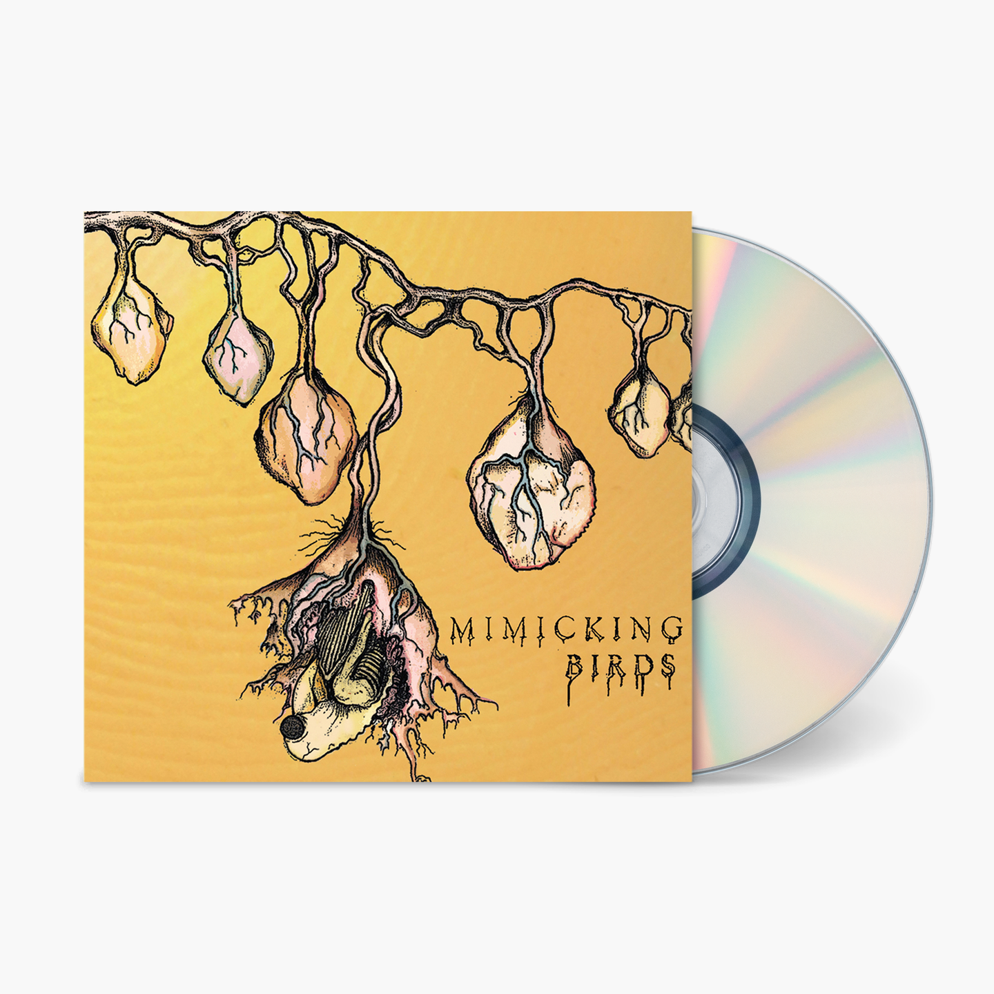 Mimicking Birds - Mimicking Birds (Vinyl) | Fat Possum Records Mimicking Birds - Mimicking Birds (Vinyl) | Fat Possum Records