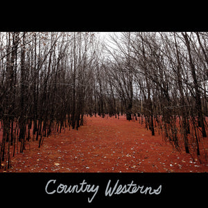 Fat Possum - Country Westerns Vinyl & Merch | Fat Possum Records