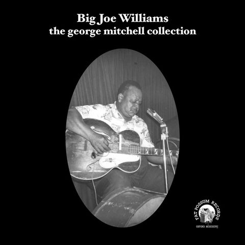 Big Joe Williams: George Mitchell Collection