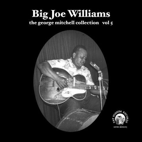 Vol 05 - Big Joe Williams